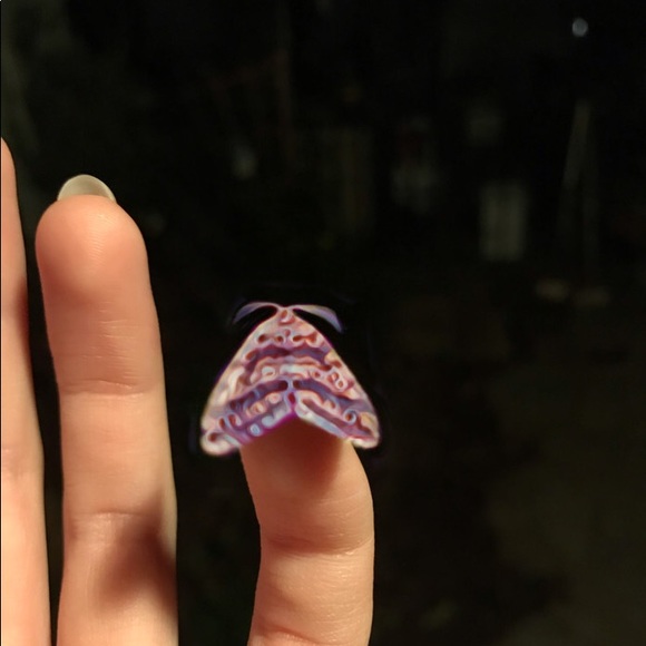 Welcome to my closet! - Picture 2 of 4